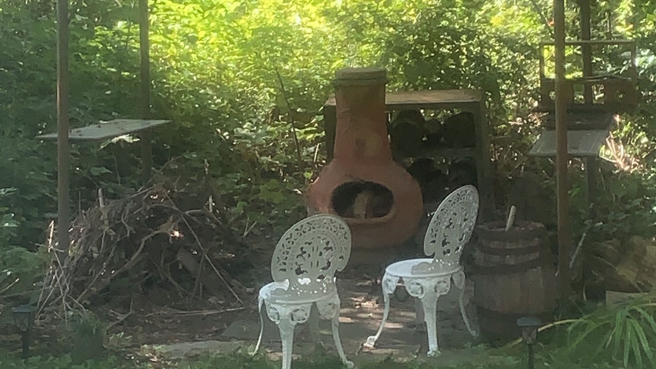 Photo of Outdoor in Mount Pleasant