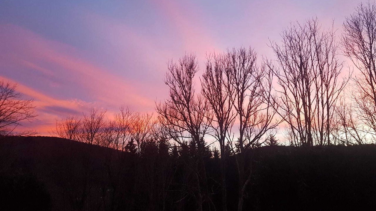 Photo of Outdoor in Colroy-la-Roche