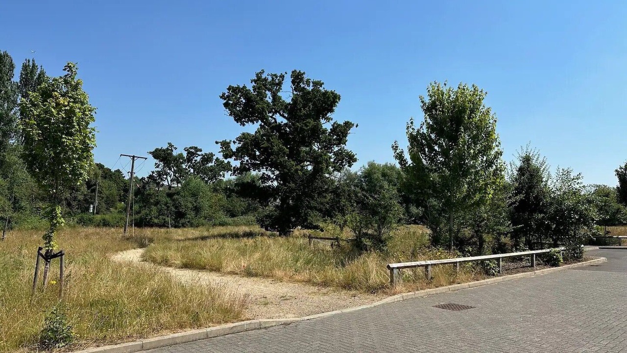 Photo of Outdoor in Wokingham