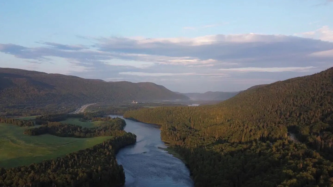 Photo of Others in Humber Valley