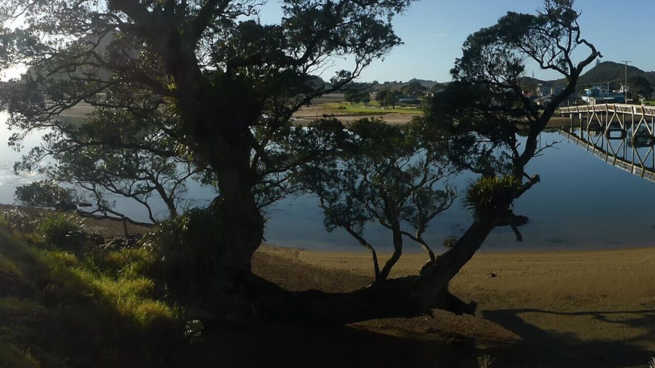 Photo of Others in Pataua