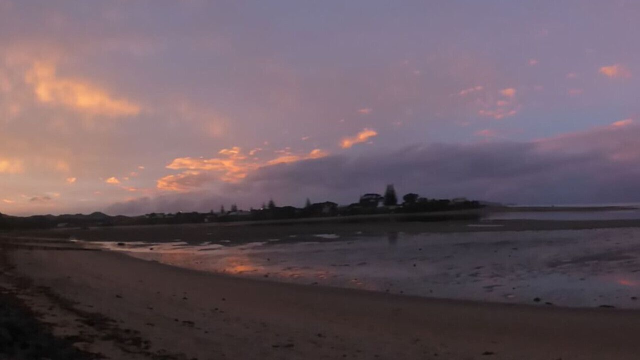 Photo of Others in Pataua