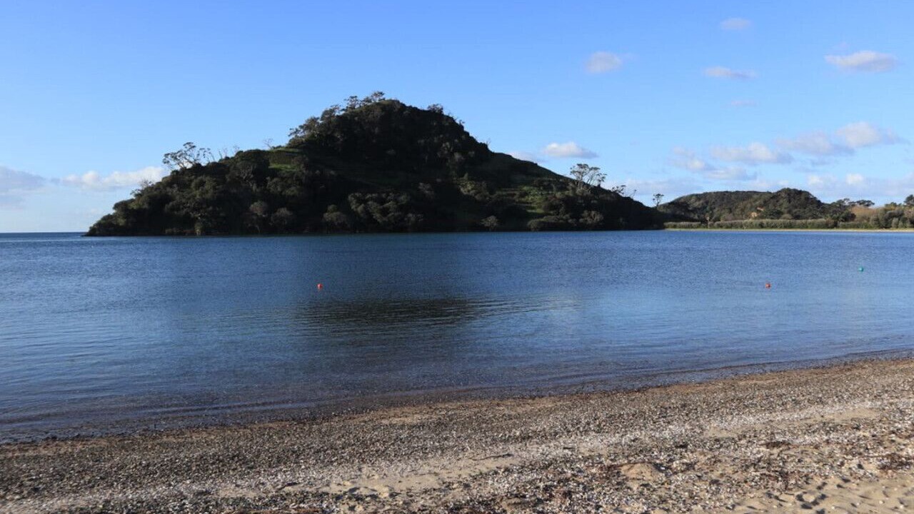 Photo of Others in Pataua