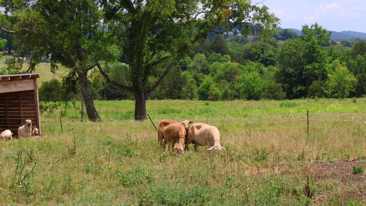 Photo of Outdoor in Rutherford County
