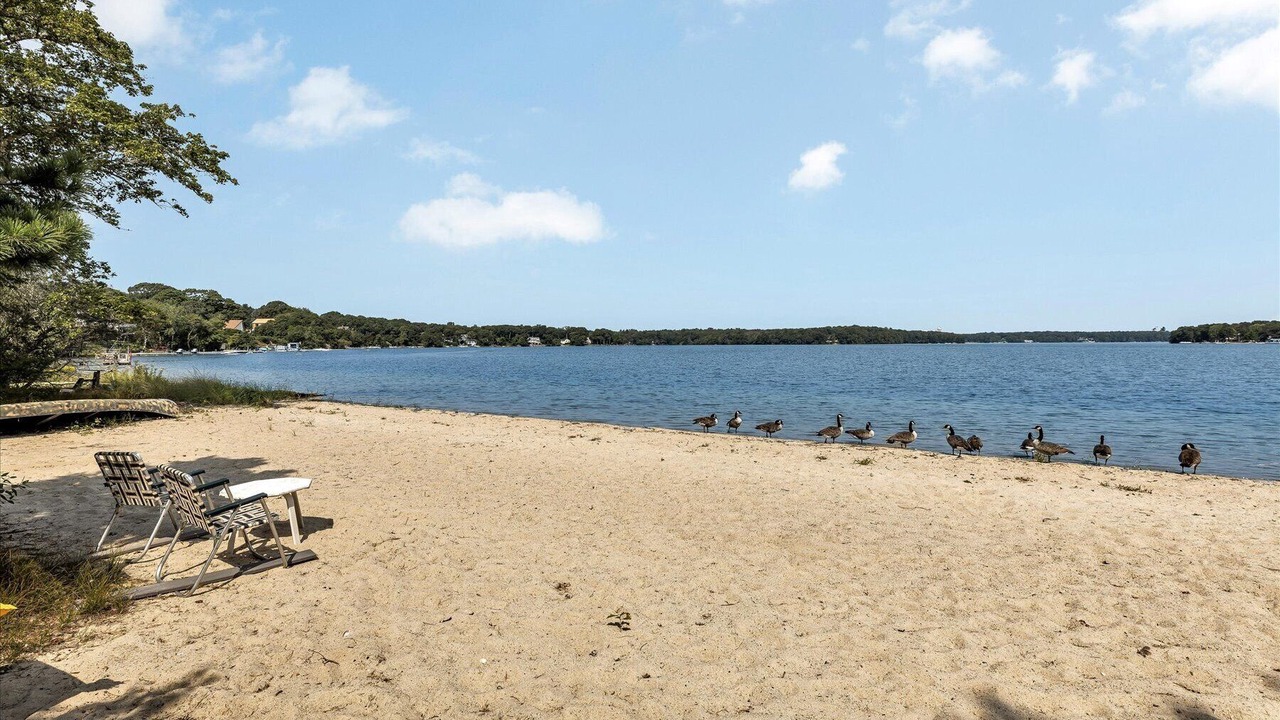 Photo of Others in Mashpee