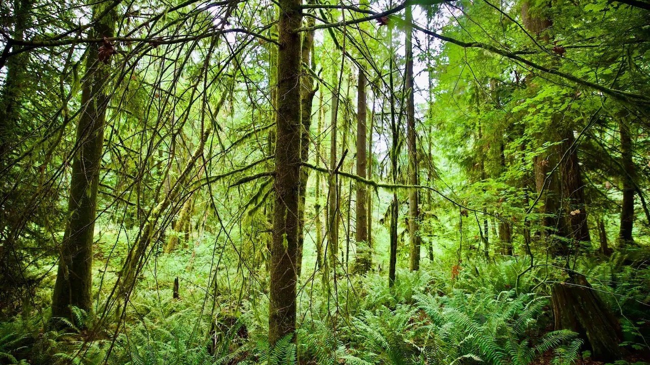 Photo of Others in Cottage Lake