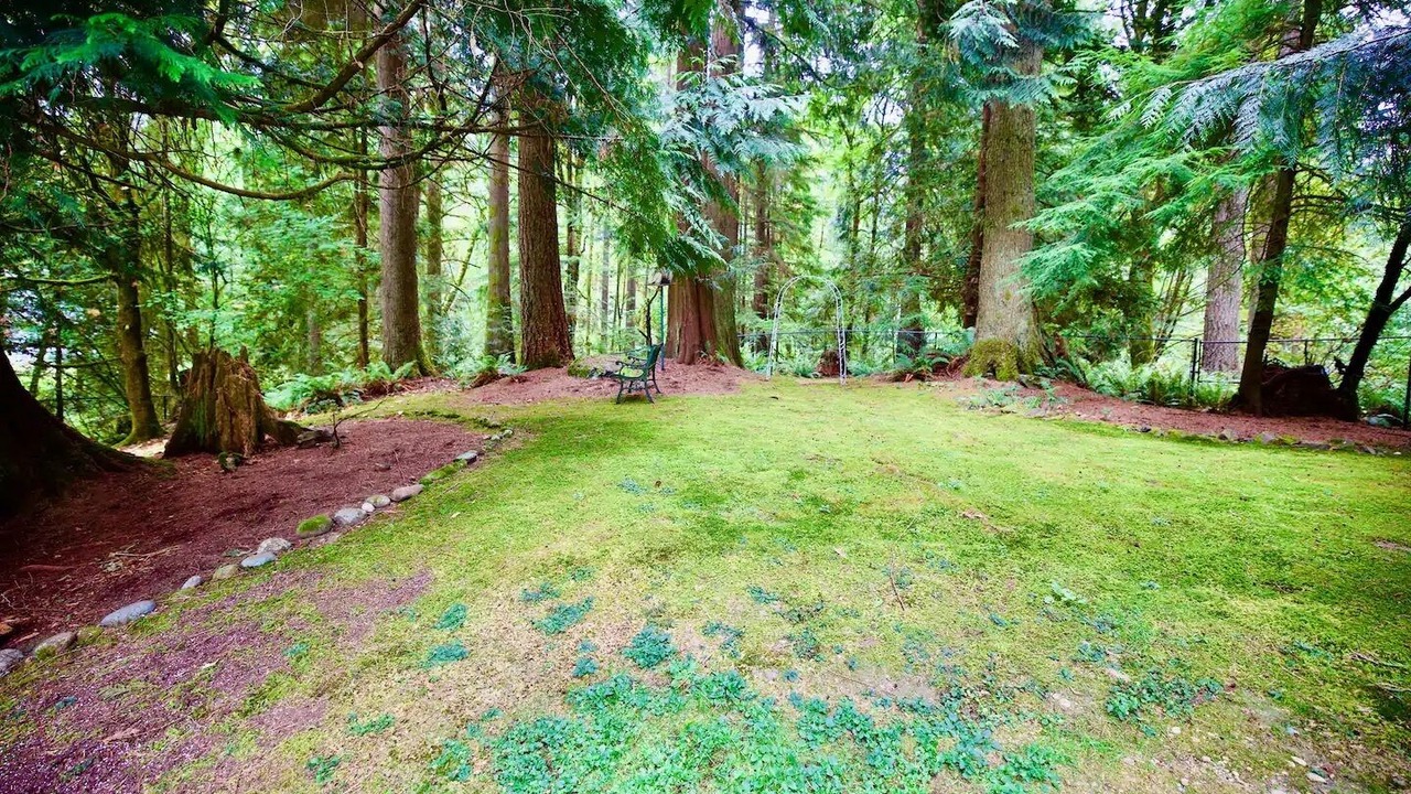 Photo of Outdoor in Cottage Lake