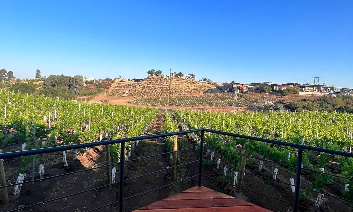 Photo of Others in Valle de Guadalupe