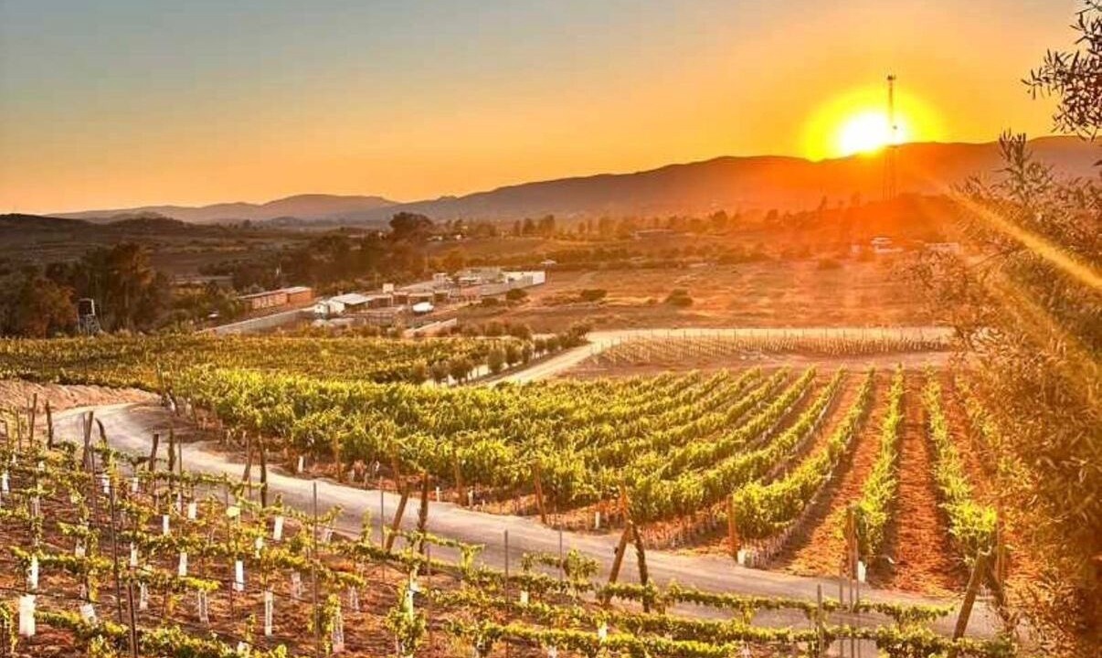 Photo of Outdoor in Valle de Guadalupe