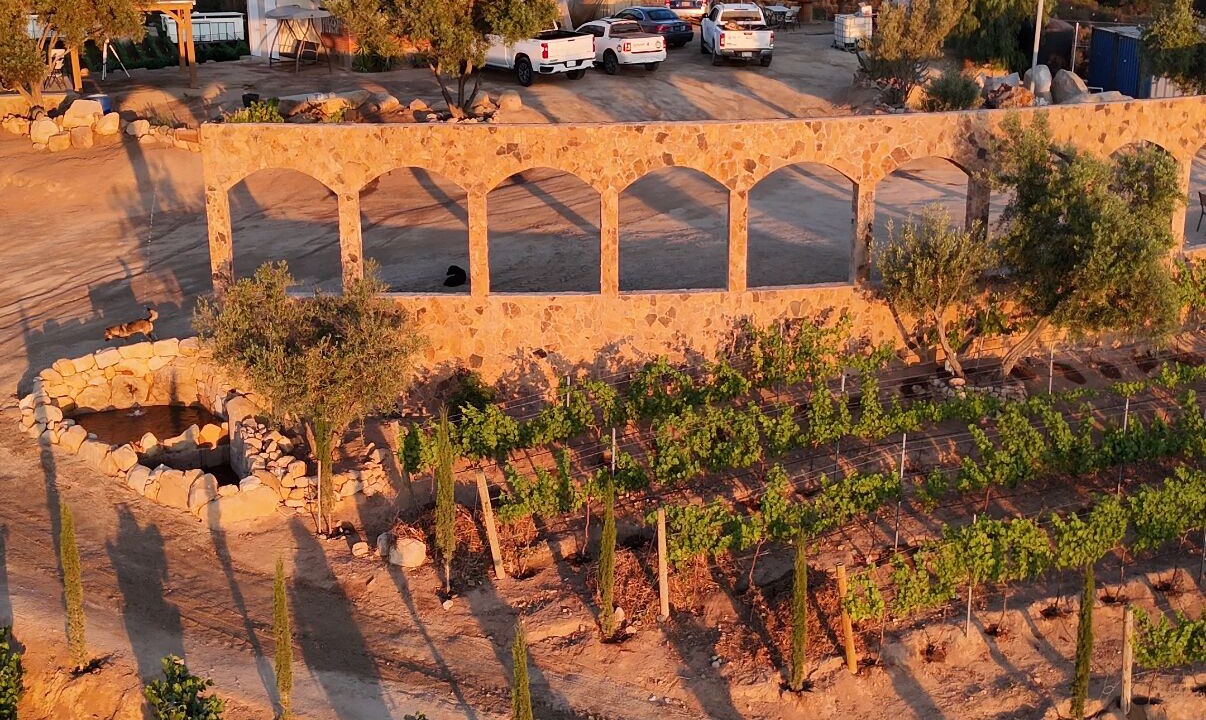 Photo of Outdoor in Valle de Guadalupe