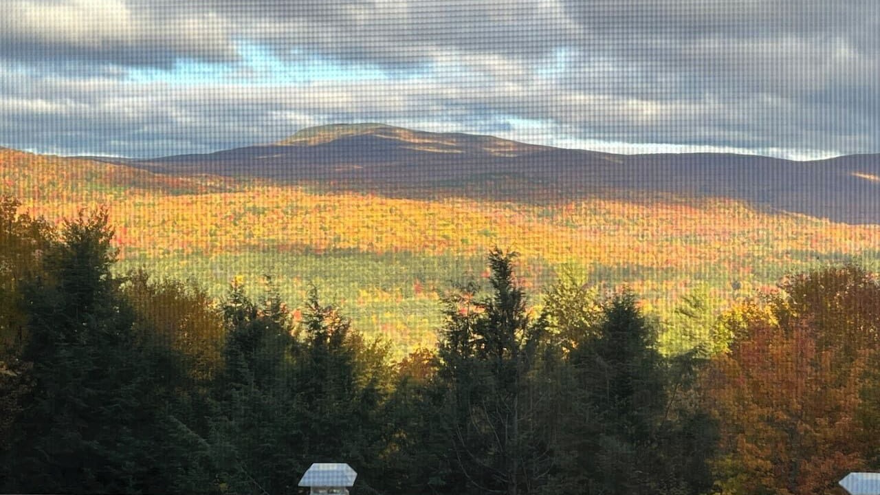 Photo of Outdoor in Rumney