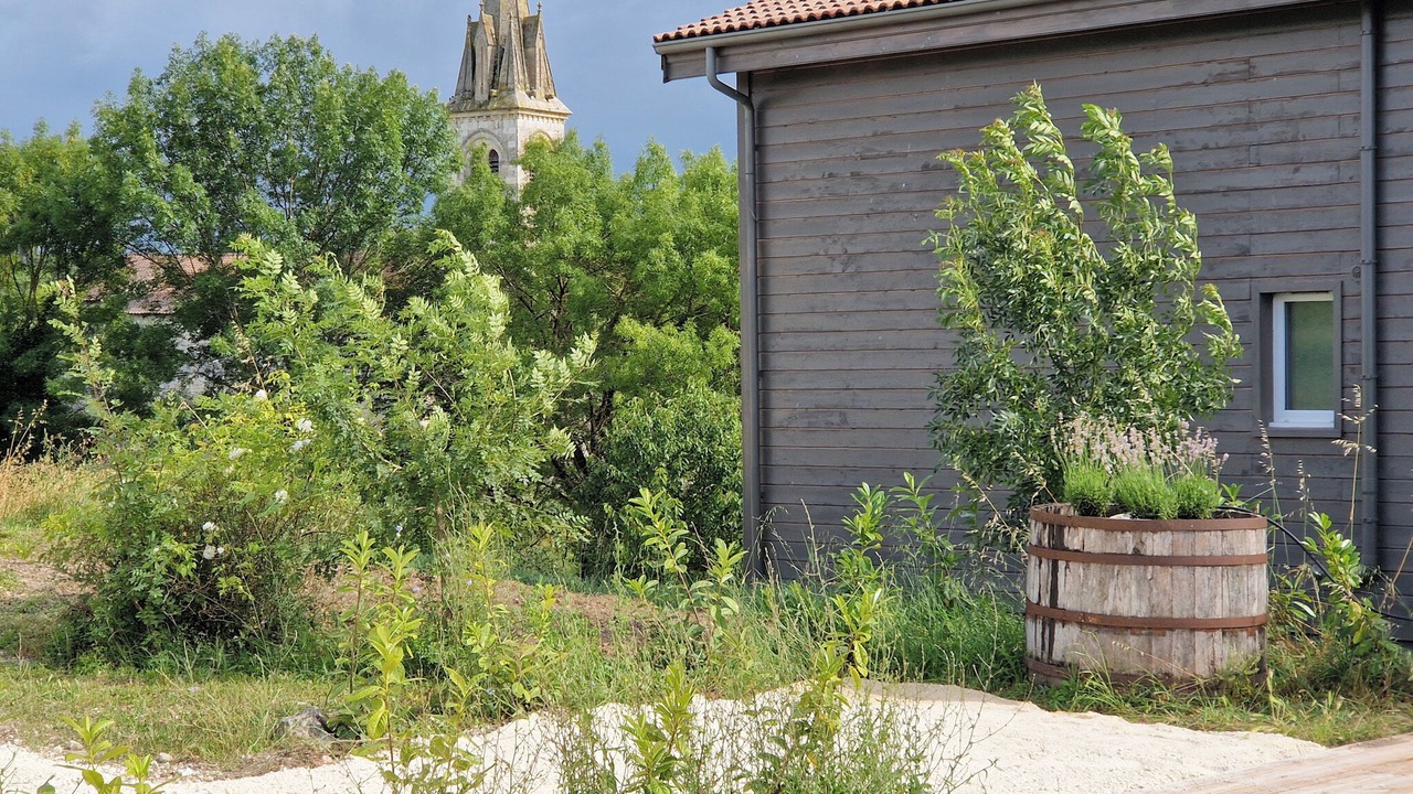 Photo of Outdoor in Saint-Etienne-de-Villereal