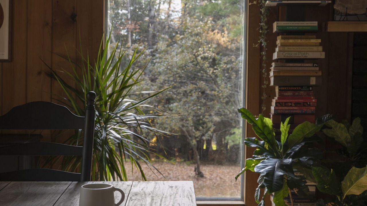 Photo of Others in Lexington