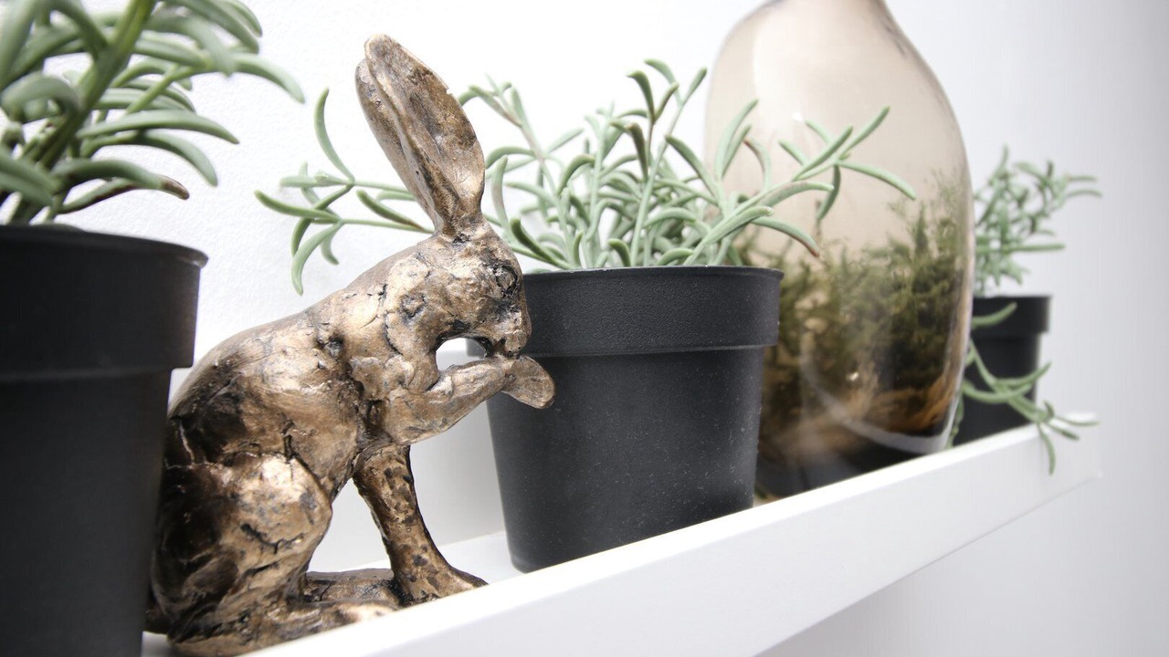 Photo of Others in Roath