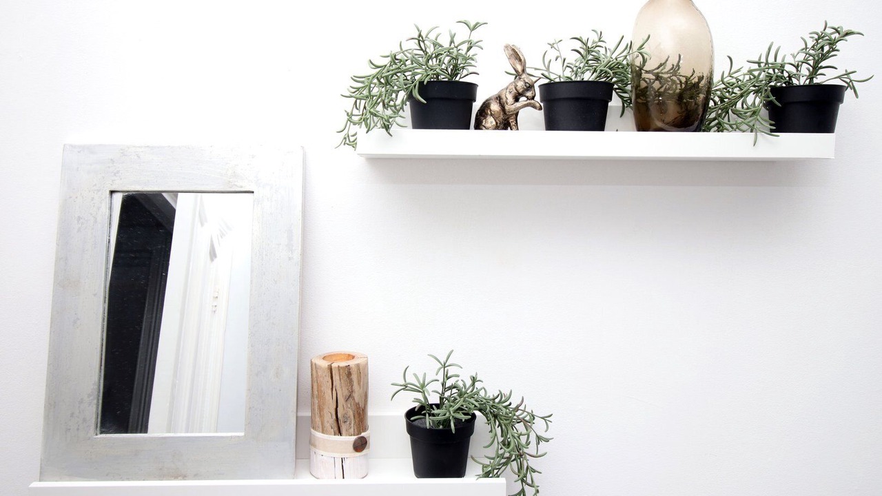 Photo of Others in Roath