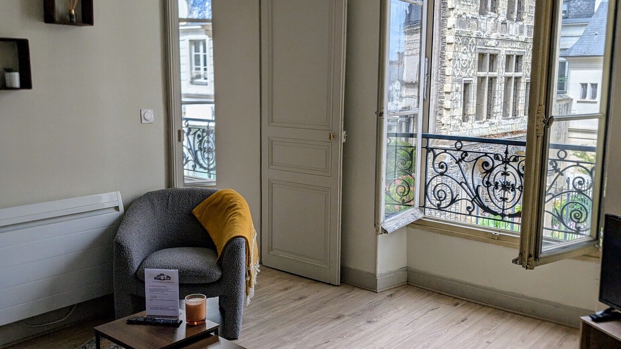 Photo of Livingroom in Downtown Angers
