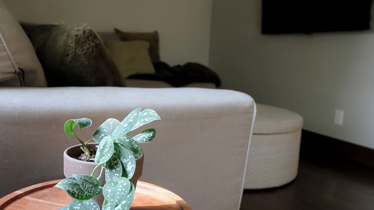 Photo of Livingroom in Stratford