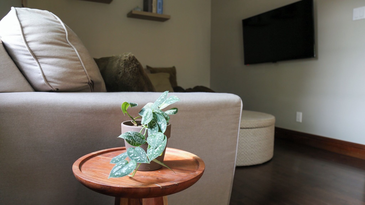 Photo of Livingroom in Stratford
