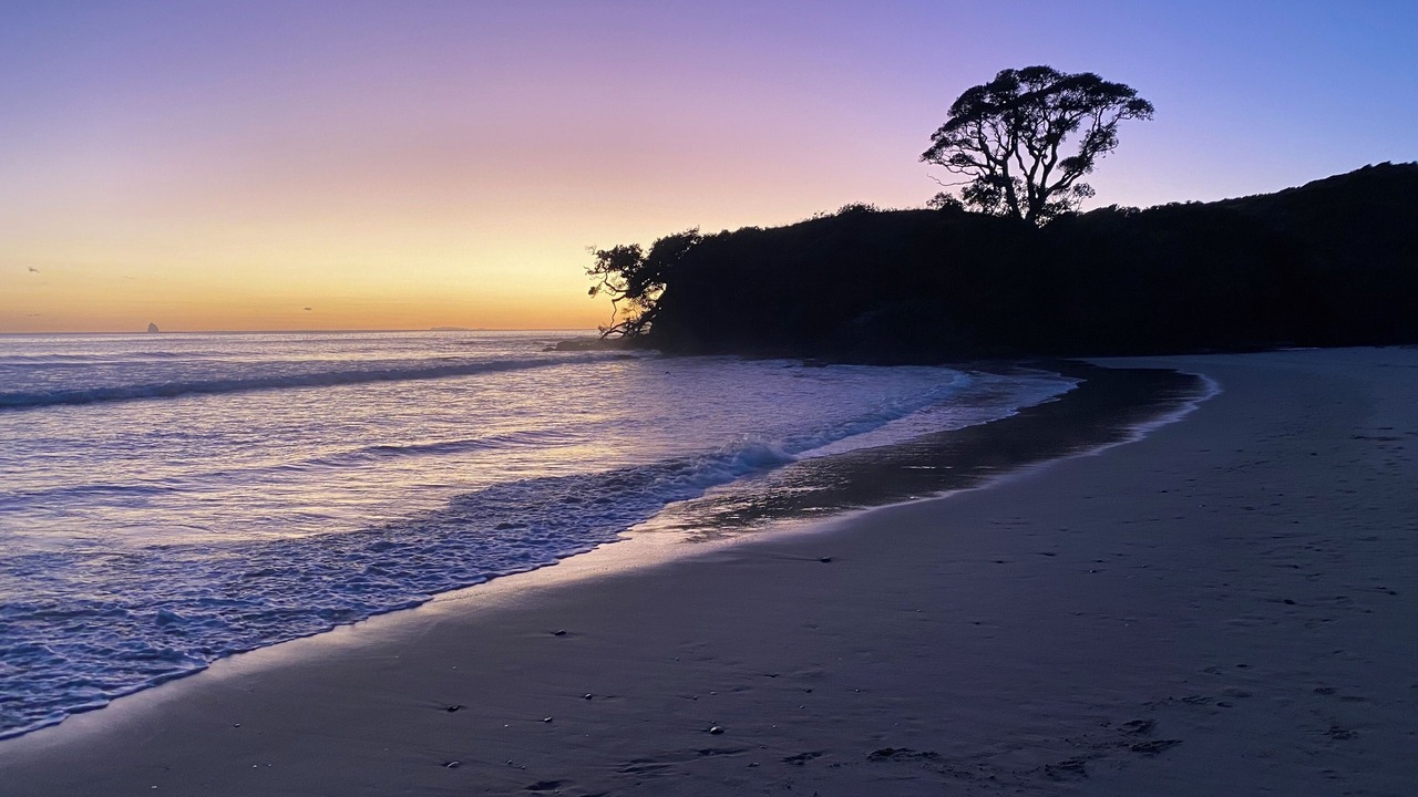 Photo of Others in Waipu Cove