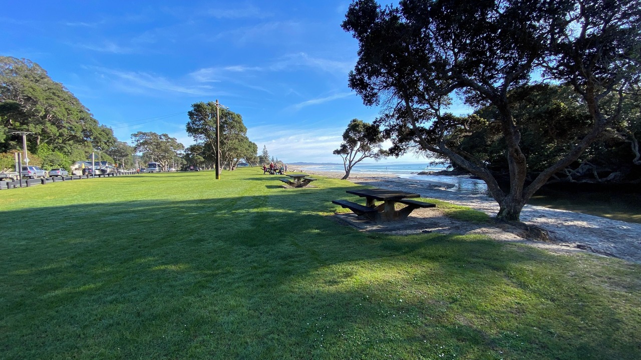 Photo of Others in Waipu Cove