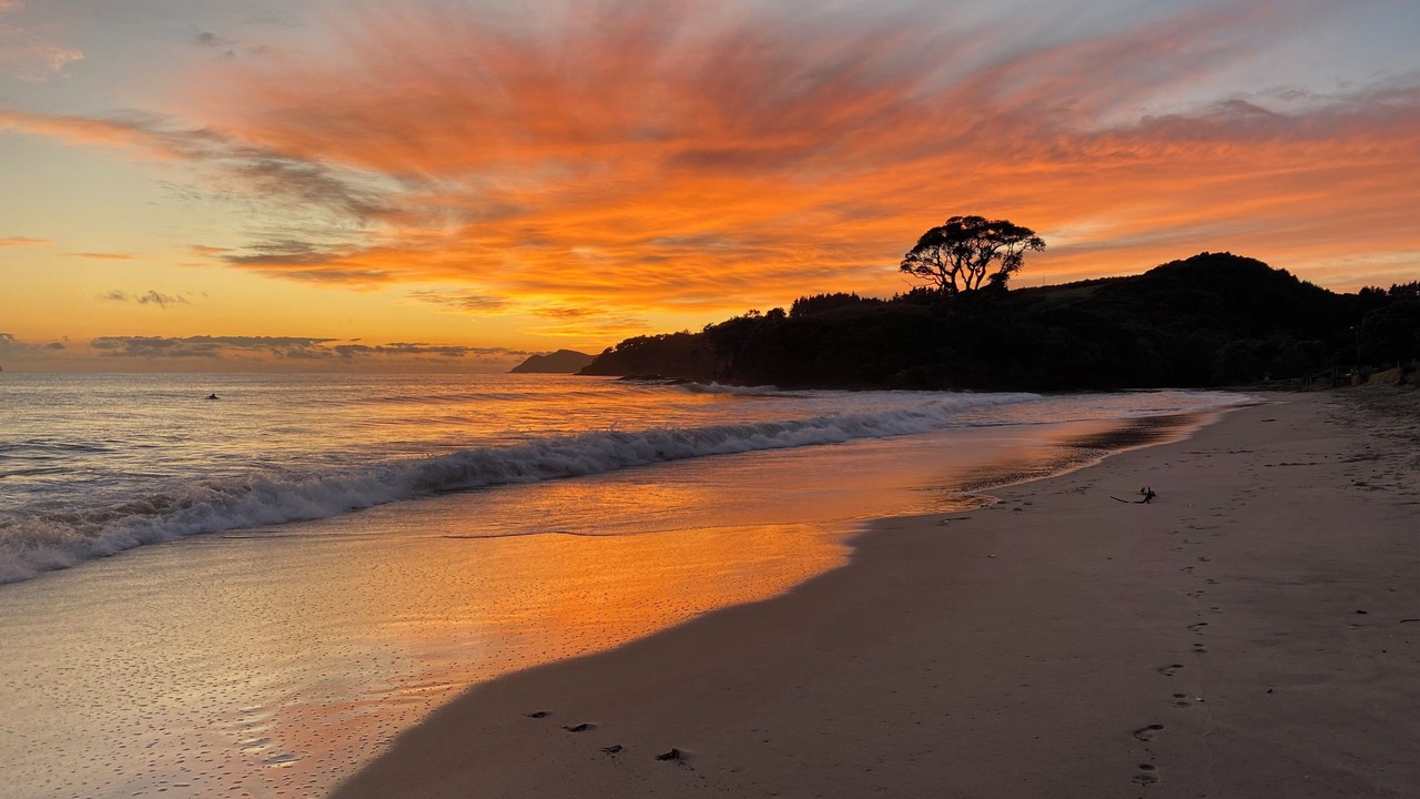 Photo of Others in Waipu Cove