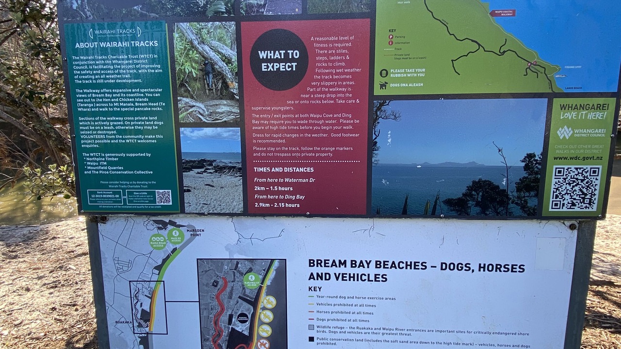 Photo of Outdoor in Waipu Cove