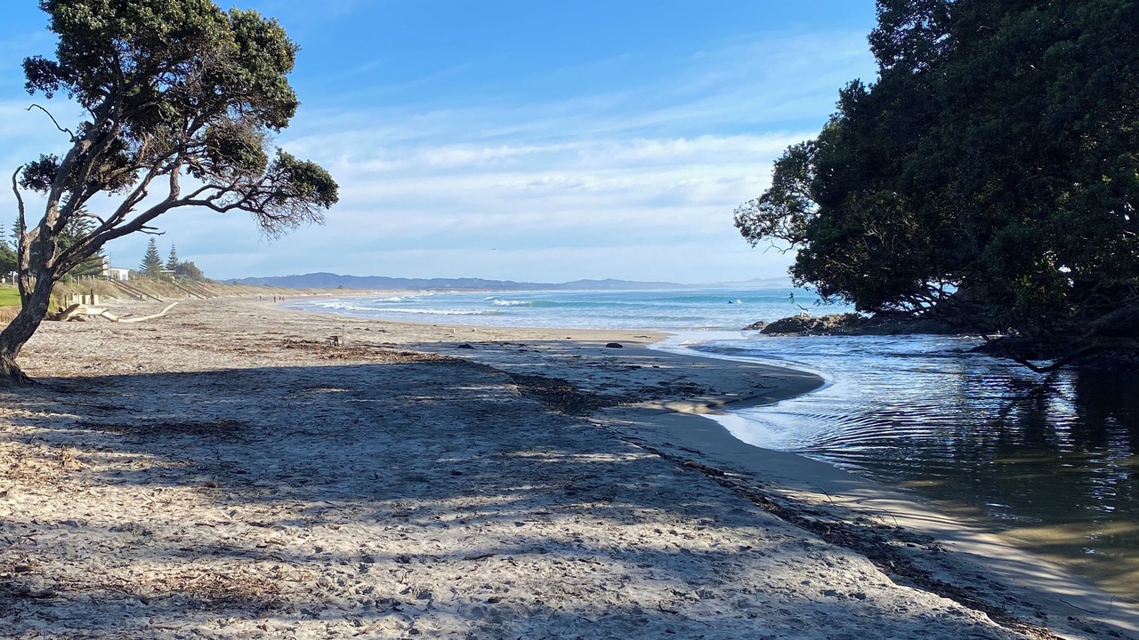 Photo of Others in Waipu Cove