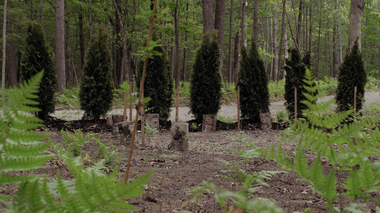 Photo of Outdoor in Cheboygan County