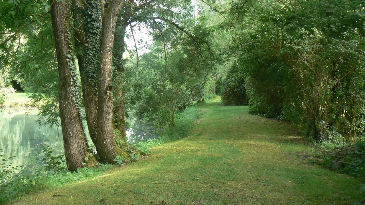 Photo of Outdoor in Sampigny