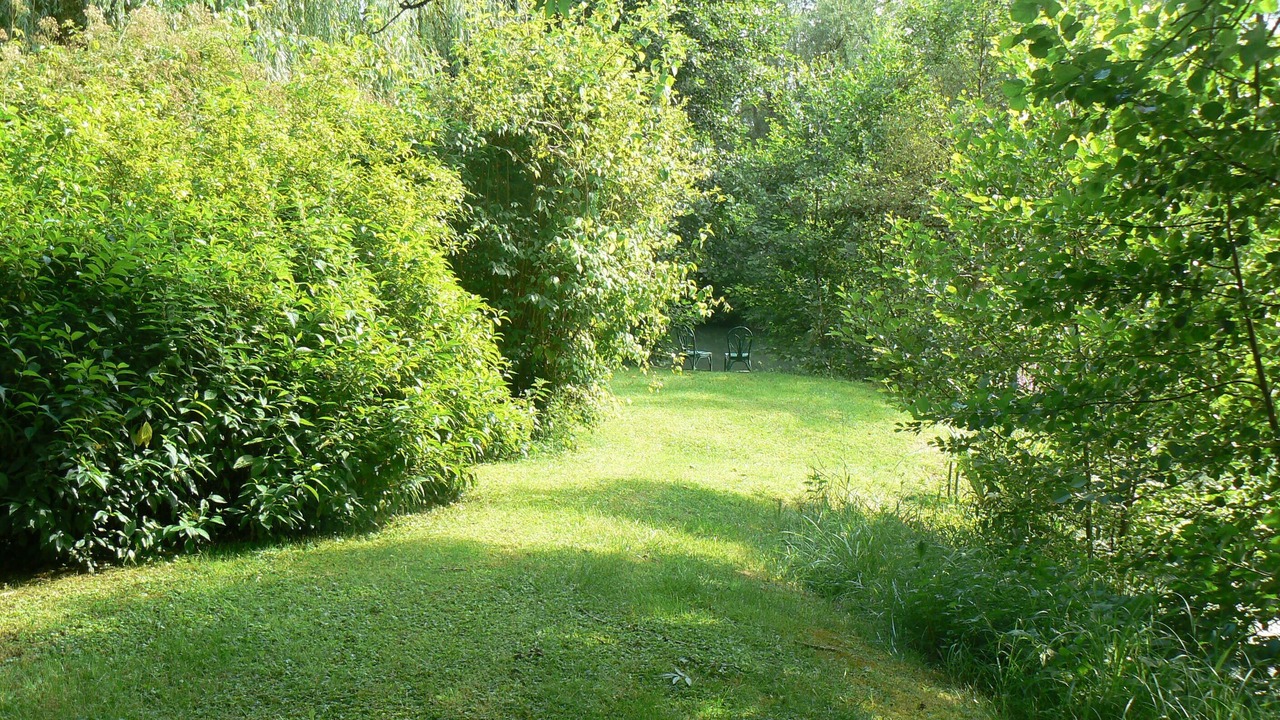 Photo of Outdoor in Sampigny