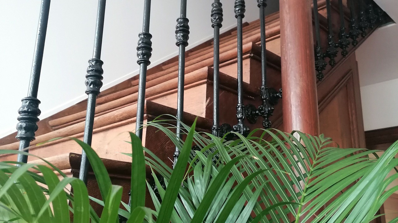 Photo of Others in Avesnes-sur-Helpe