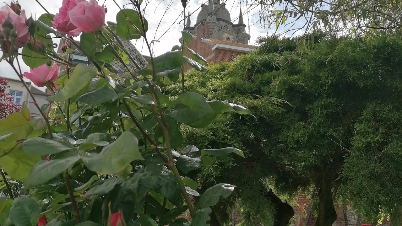 Photo of Outdoor in Avesnes-sur-Helpe