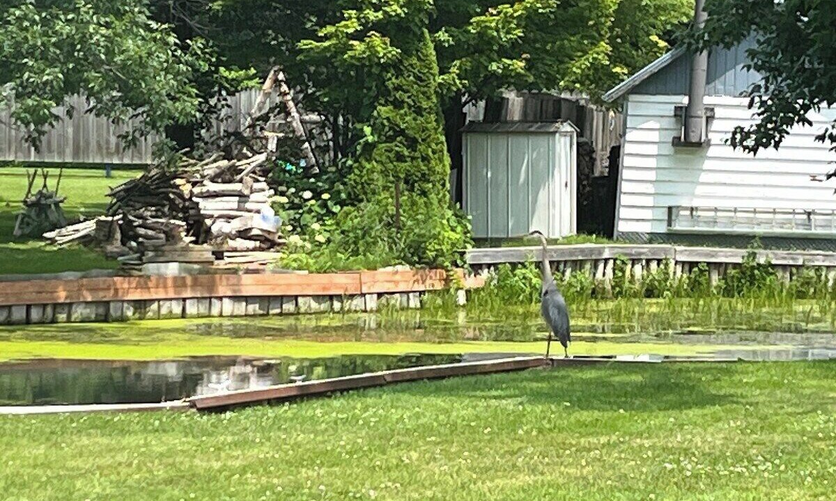 Photo of Others in South Glengarry