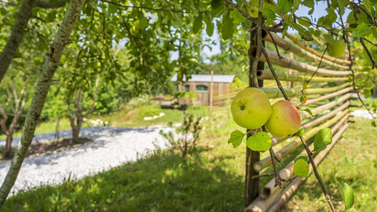 Photo of Outdoor in Arcangues