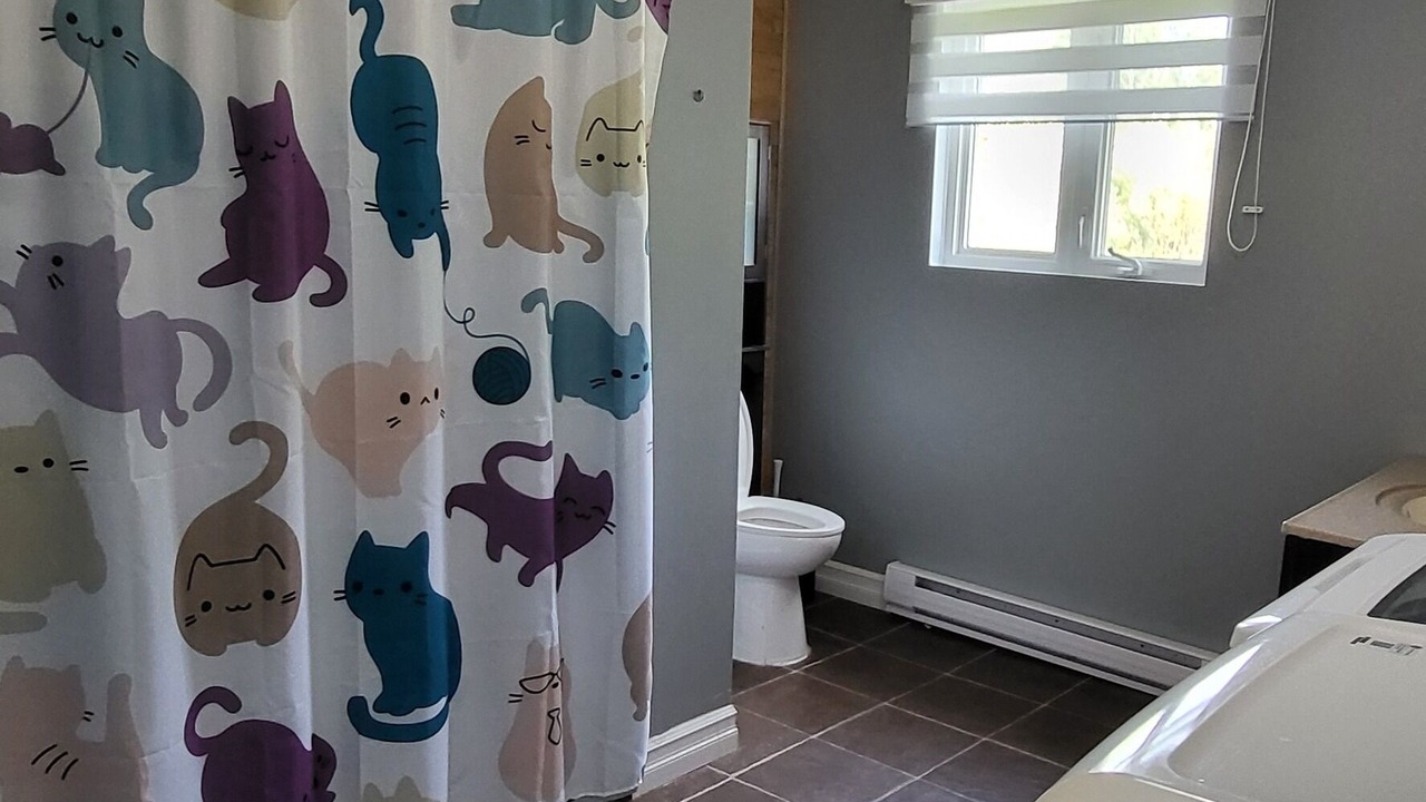 Photo of Others in Gloucester County