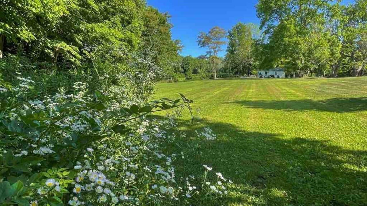 Photo of Others in Hyde Park