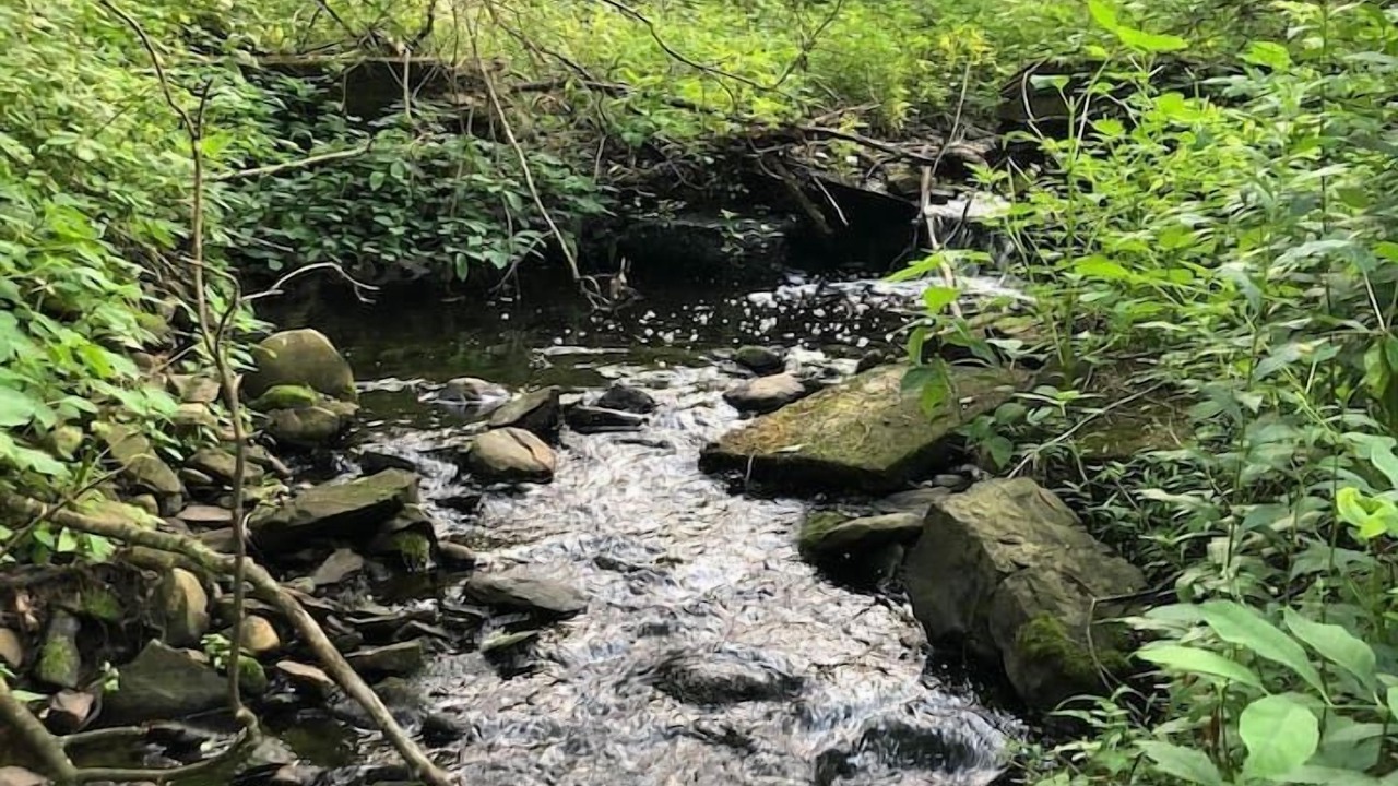 Photo of Outdoor in Hyde Park