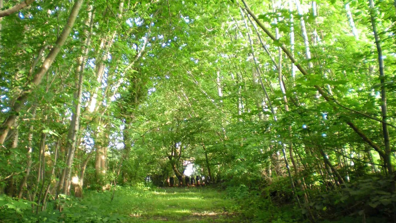 Photo of Outdoor in Give