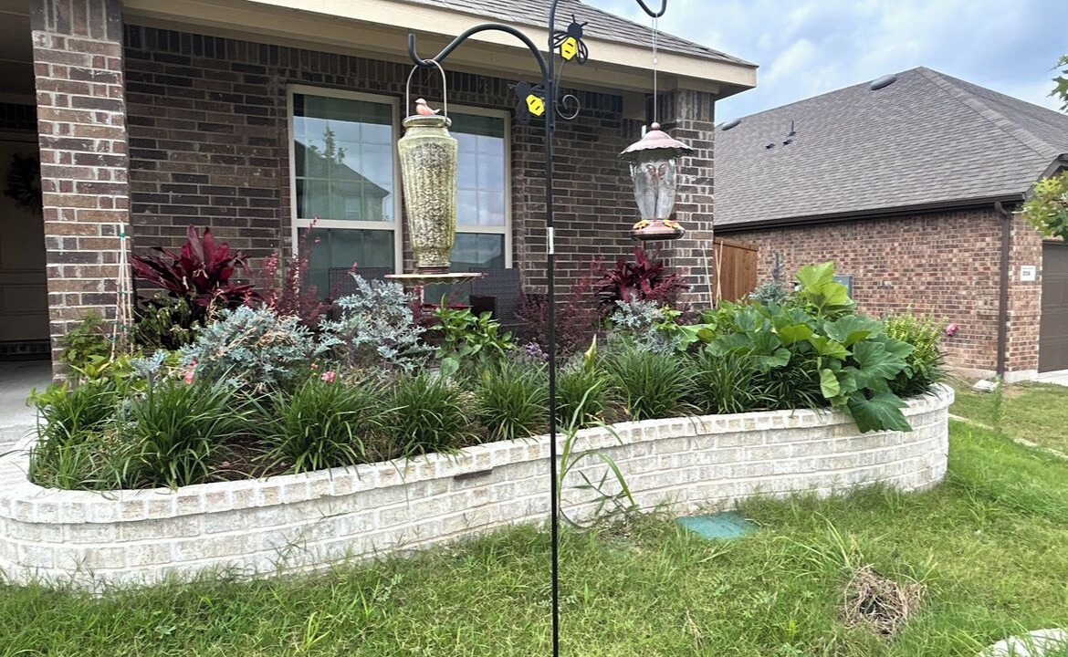Photo of Outdoor in Fate