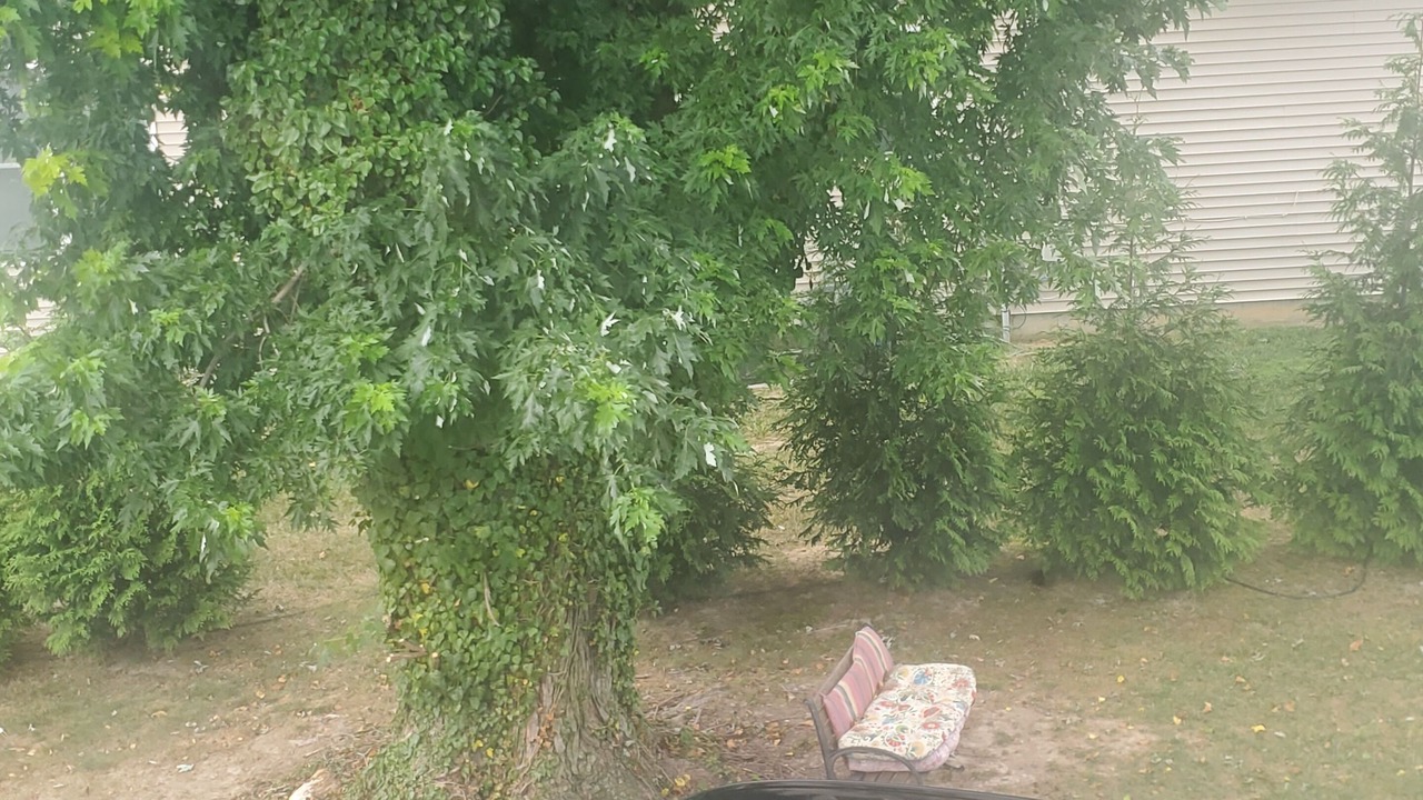 Photo of Outdoor in Dover