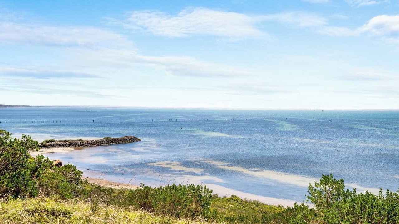 Photo of Others in Clifton Springs