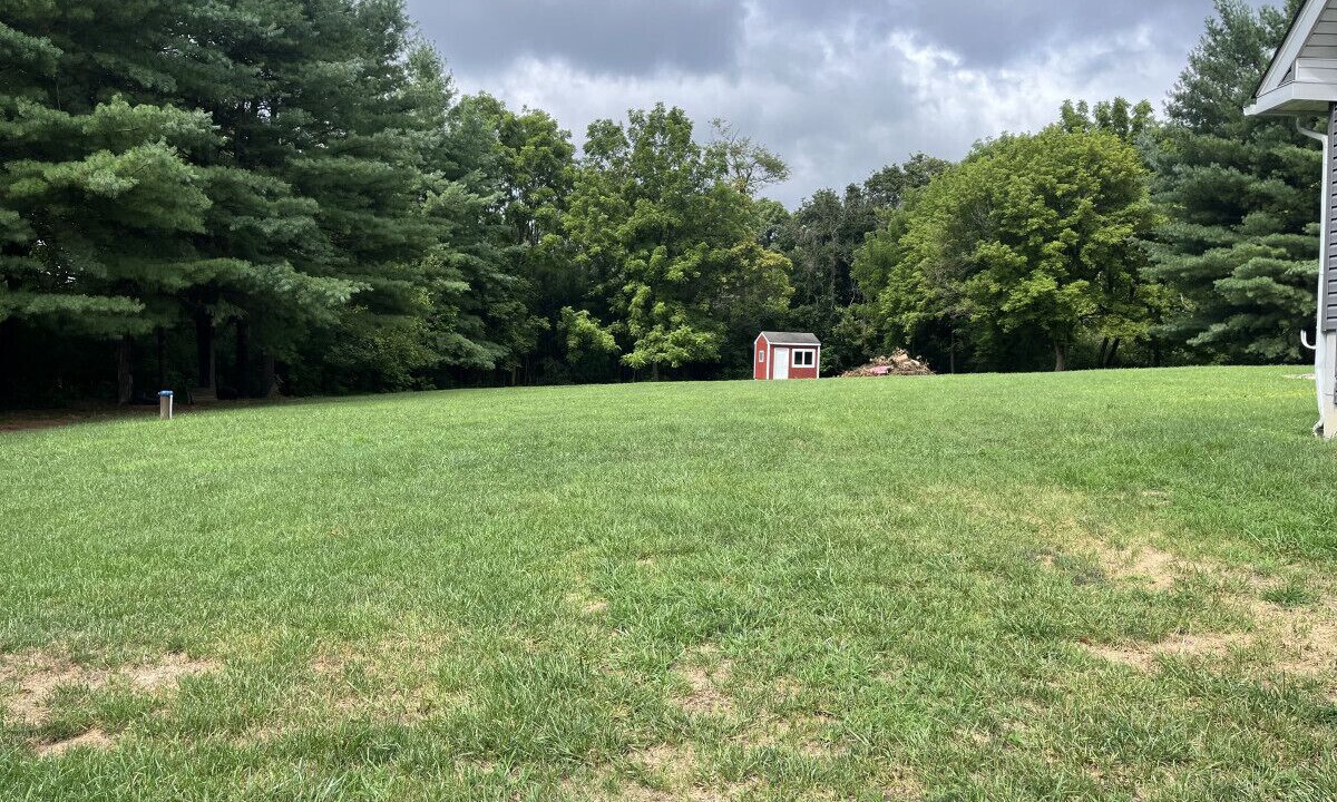 Photo of Others in Nottingham