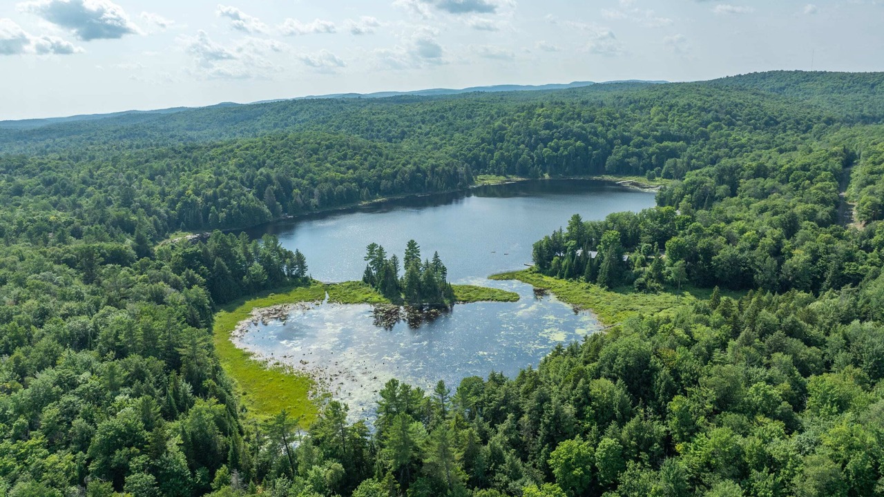 Photo of Outdoor in Pine Hill