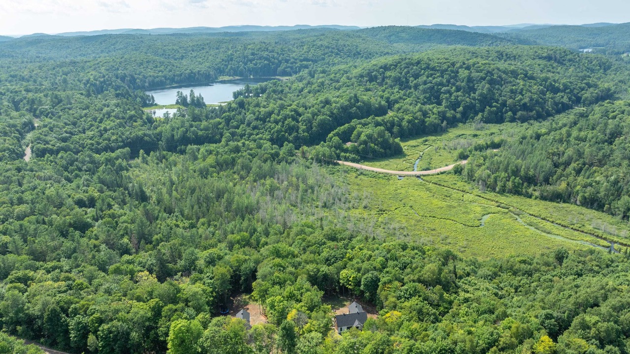 Photo of Outdoor in Pine Hill
