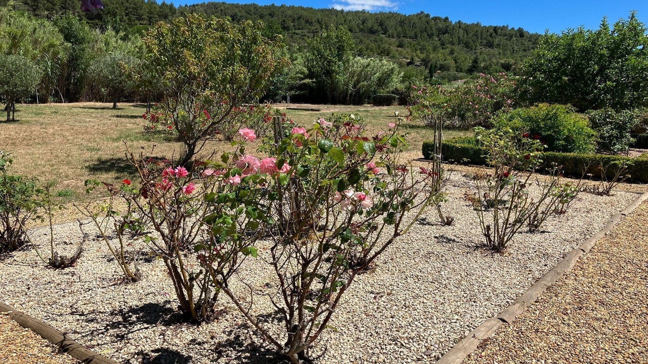 Photo of Outdoor in Felines-Minervois