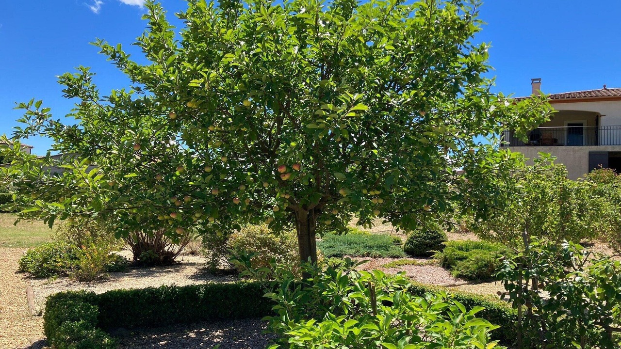 Photo of Outdoor in Felines-Minervois