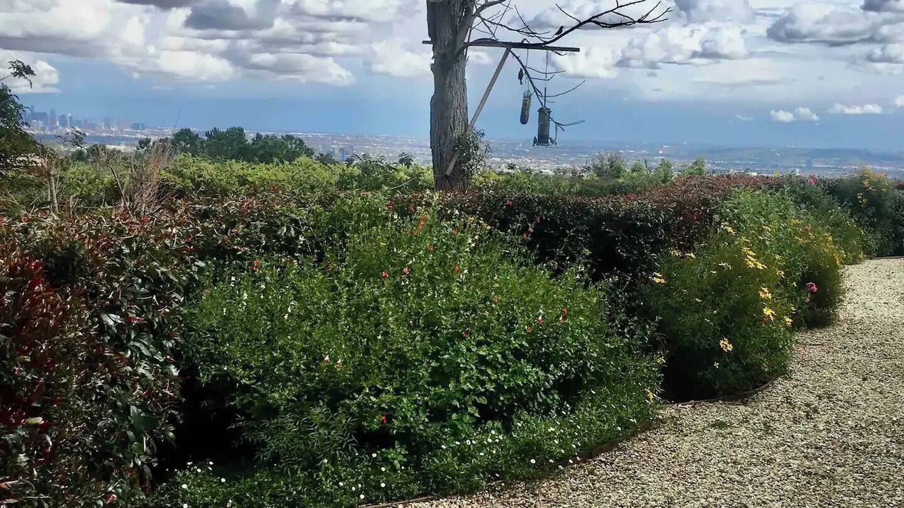 Photo of Others in Beverly Glen