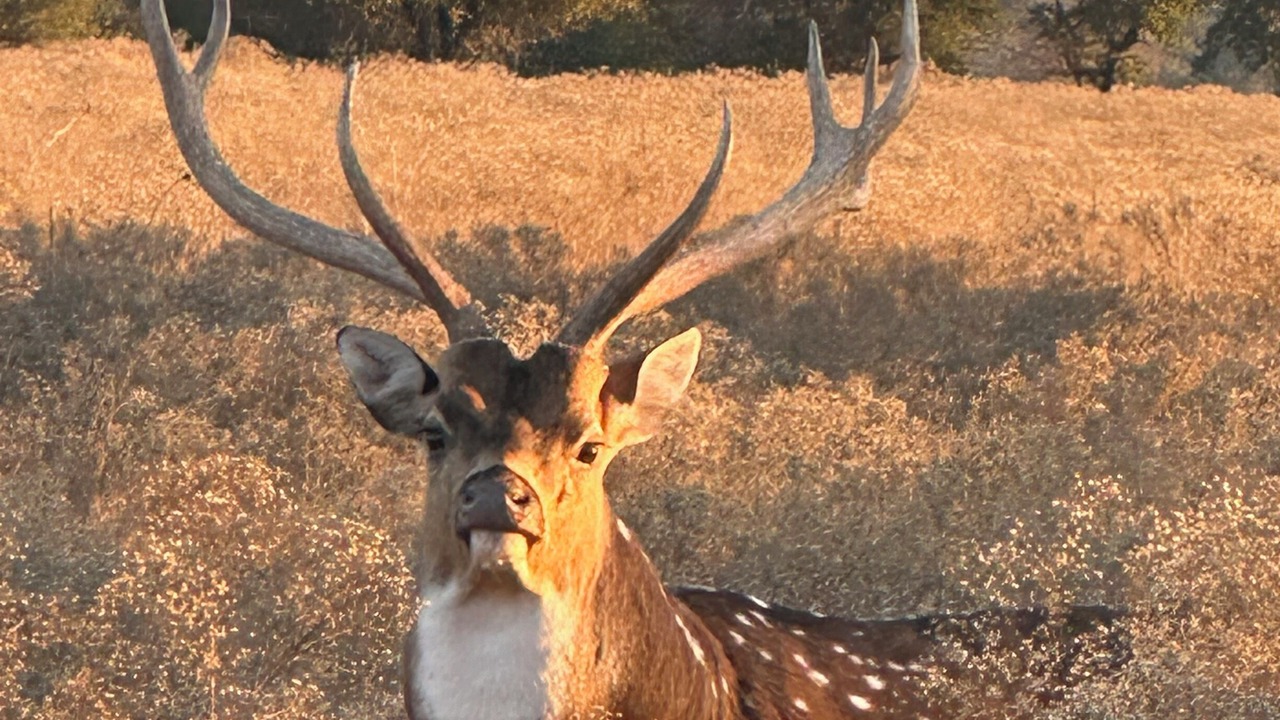 Photo of Others in Gatesville