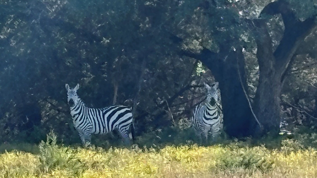 Photo of Others in Gatesville