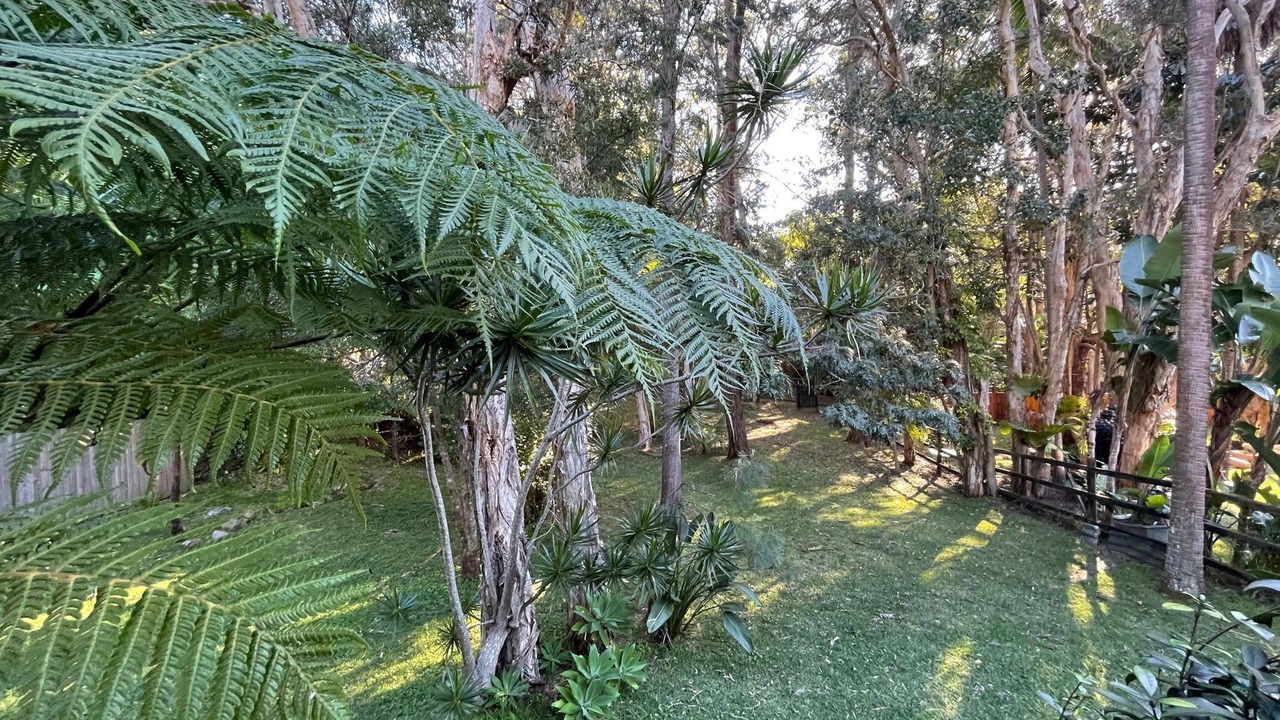 Photo of Outdoor in Arakoon